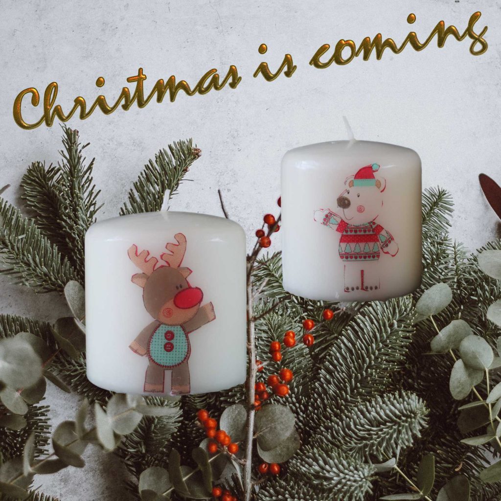 Rudolph and the Christmas bear
